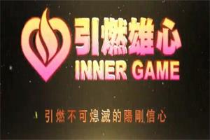 瑞恩-引燃雄心-百度网盘-下载