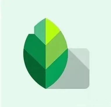 Snapseed修图视频教程，教你修出黑白大片