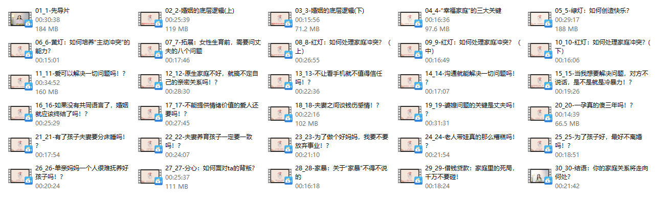 智慧关系（又名高质量夫妻关系）30节完整版，沈奕斐新课