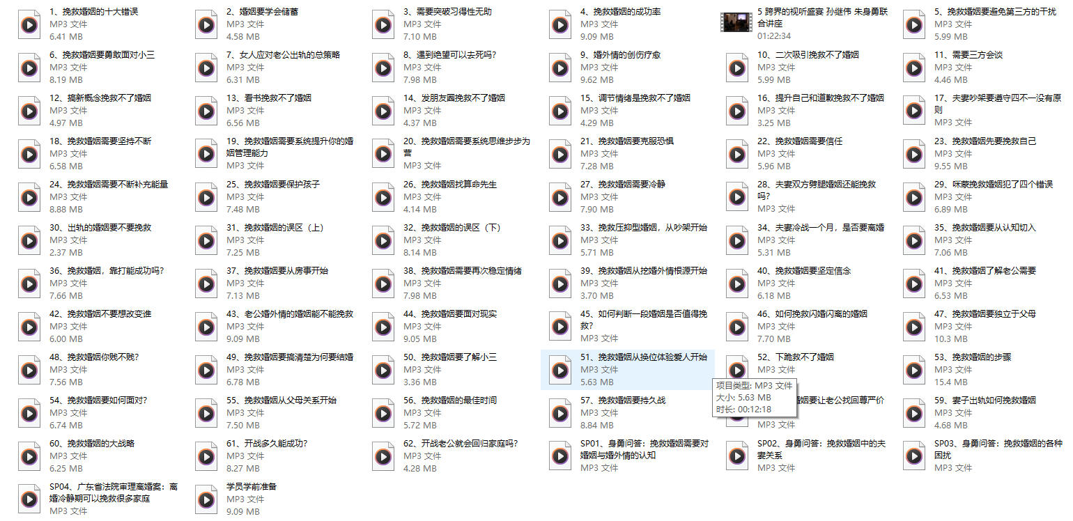 《挽救婚姻有办法》音频，朱身勇系列课