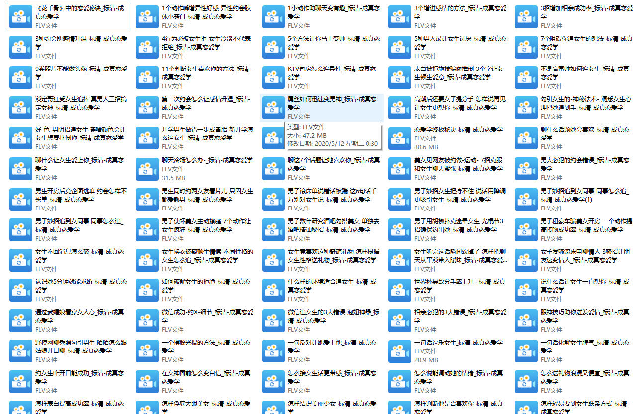 成真恋爱学课程全集