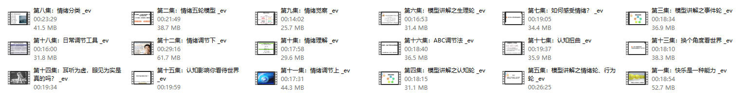 《情绪及压力管理》赵了了课程